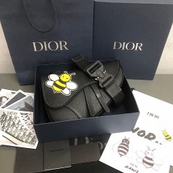 Dior x Kaws Saddle Bag