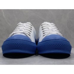 GT Dior B23 LowTop Sneakers White Blue